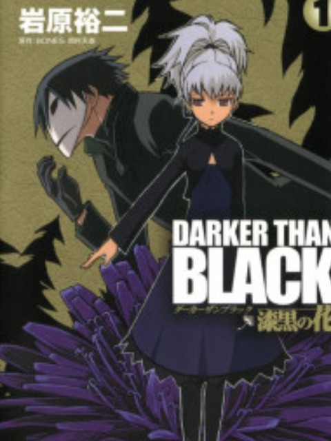 Darker Than Black: Shikkoku no Hana [English] - otakusan.net