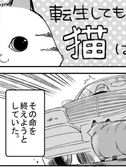 A story about a cat reincarnated in a different world where there are no cats. [English] - otakusan.net
